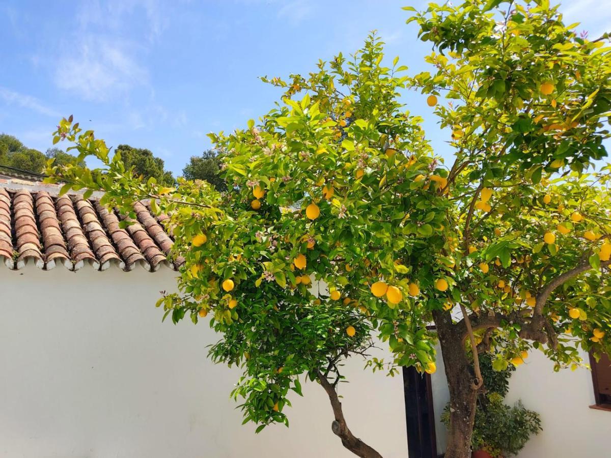 Вілла Casa El Patio Del Limon, Con Piscina Монтекорто Екстер'єр фото